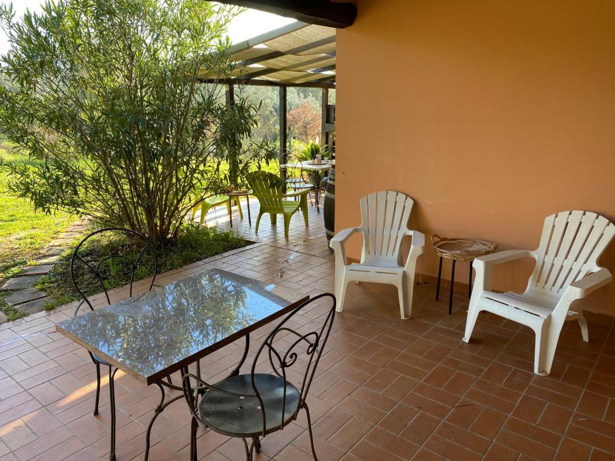 Coliberto Villa Massa Marittima Exterior photo